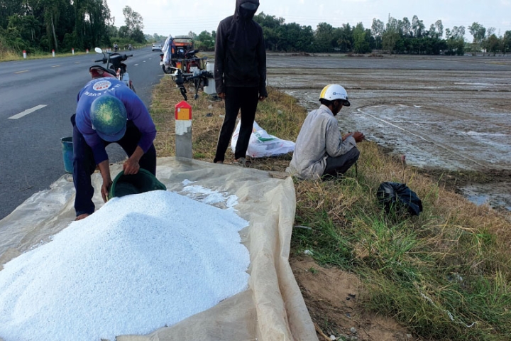 Xây dựng "lớp đệm" giảm sốc cho nông nghiệp: Nhìn từ biến động giá phân bón