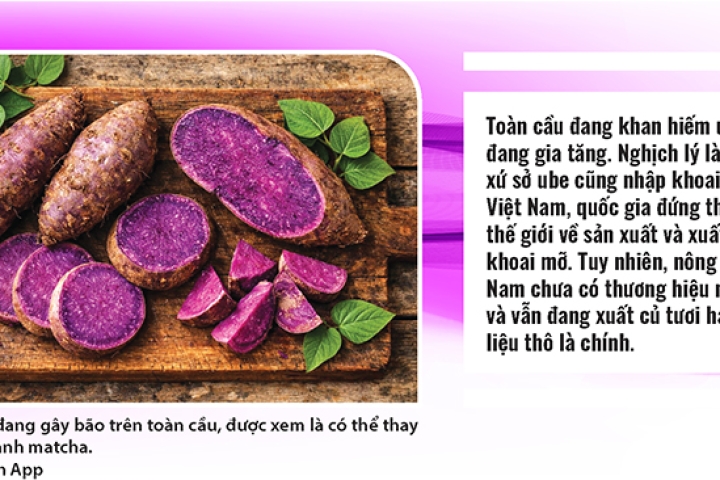 Tím ube tiếp tục "gây bão", thay thế dần xanh matcha?